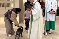 52faa97e-e4c0-4451-8ab7-c52ae5e47a8a