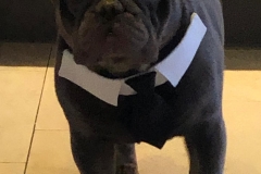 d2cc8169-e9e8-480f-8a27-0395d5f6abe7