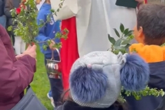 29090e8b-0468-405d-a4c0-1a6abe5034a8