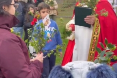 3a05839c-18c0-40ef-a338-755e1aa10c2f