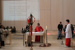 580c9b3c-6cd6-4d75-9d42-7d60865efead